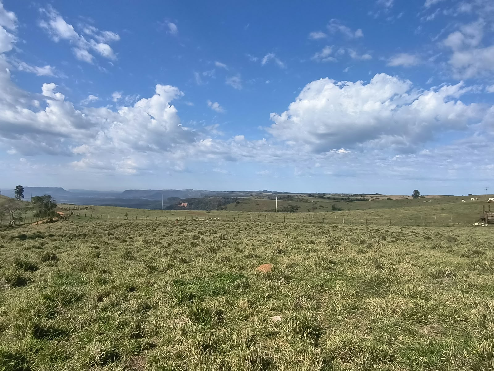CHÁCARA, 20000 m².